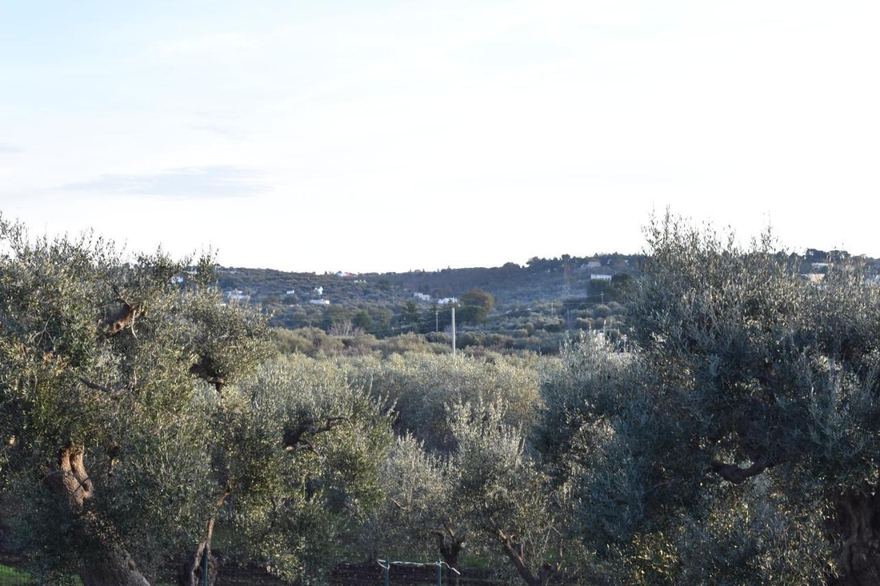 Dimora Sofia Bed & Breakfast Monopoli Exterior photo